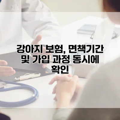 강아지 보험, 면책기간 및 가입 과정 동시에 확인