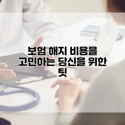 보험 해지 비용을 고민하는 당신을 위한 팃