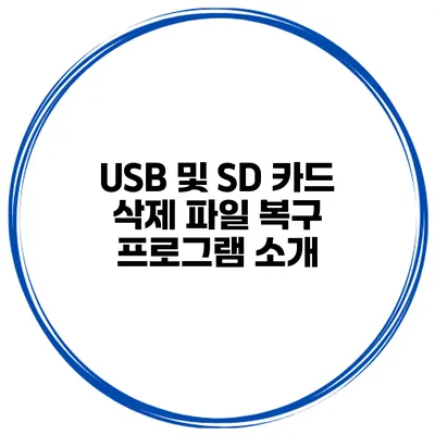 USB 및 SD 카드 삭제 파일 복구 프로그램 소개