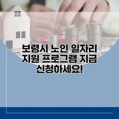 보령시 노인 일자리 지원 프로그램: 지금 신청하세요!