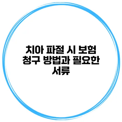 치아 파절 시 보험 청구 방법과 필요한 서류