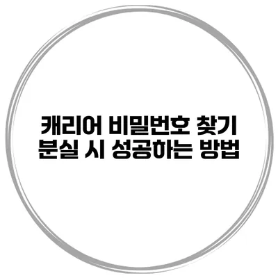 캐리어 비밀번호 찾기 분실 시 성공하는 방법